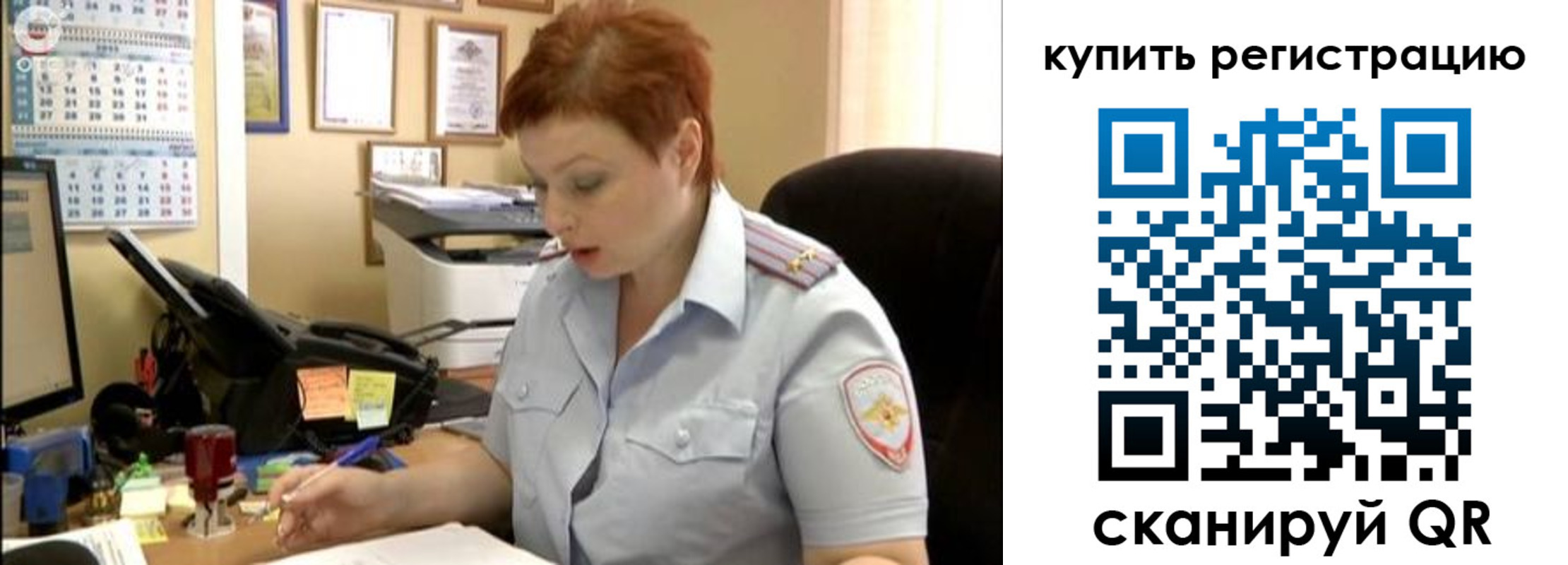 прописка поиск в Кингисеппе